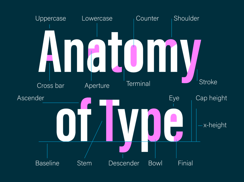 Anatomy Of Type Graphic